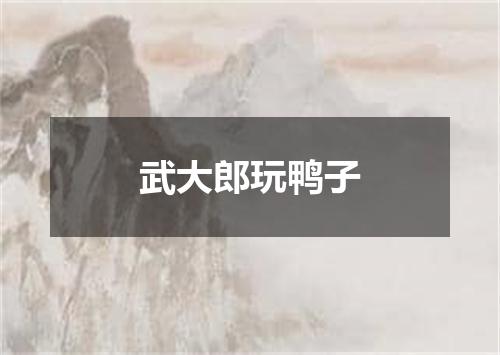 武大郎玩鸭子