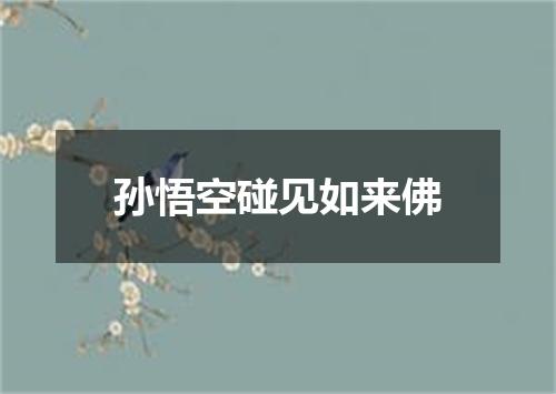 孙悟空碰见如来佛