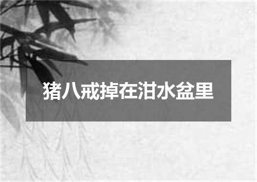 猪八戒掉在泔水盆里