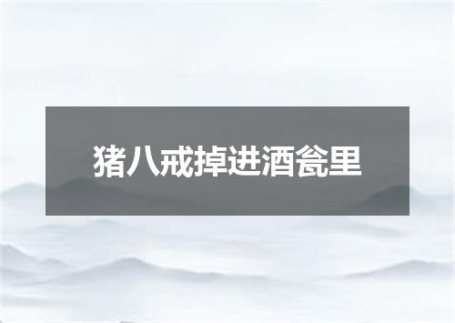 猪八戒掉进酒瓮里