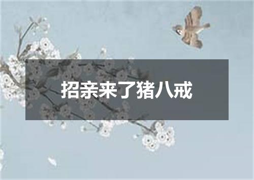 招亲来了猪八戒