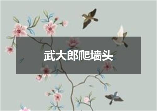 武大郎爬墙头