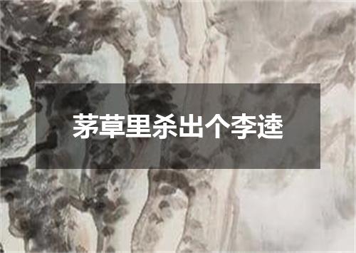 茅草里杀出个李逵