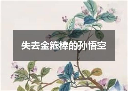 失去金箍棒的孙悟空