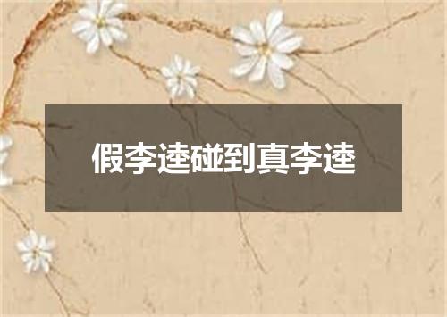 假李逵碰到真李逵