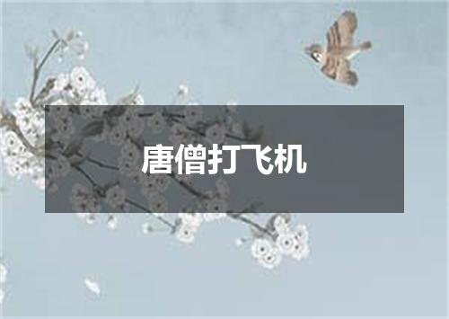 唐僧打飞机