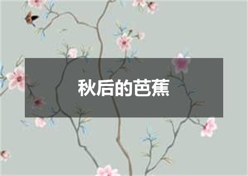 秋后的芭蕉