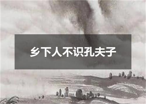 乡下人不识孔夫子