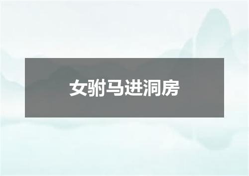 女驸马进洞房