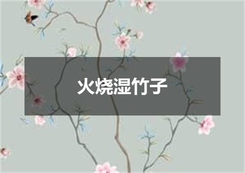 火烧湿竹子