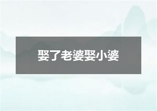 娶了老婆娶小婆