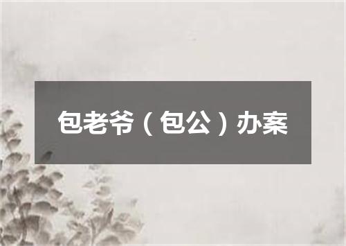 包老爷（包公）办案