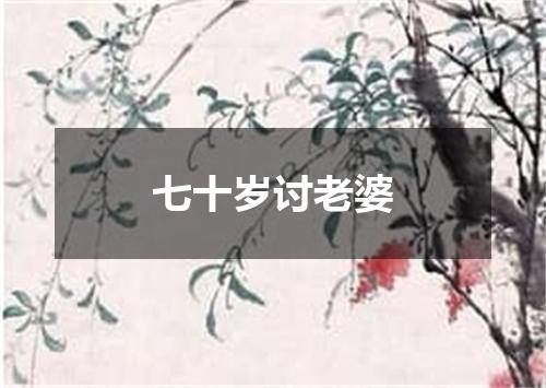 七十岁讨老婆