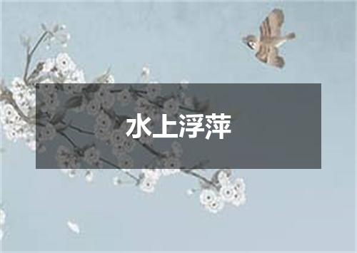 水上浮萍