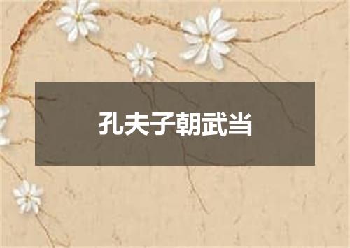 孔夫子朝武当