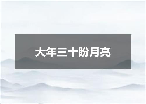 大年三十盼月亮