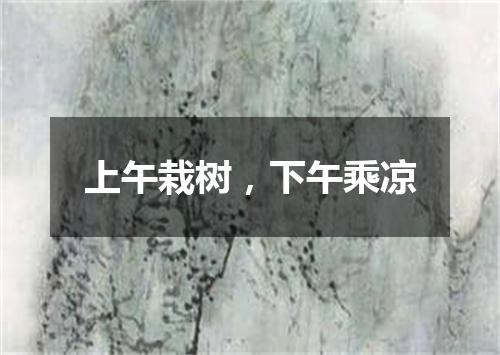 上午栽树，下午乘凉