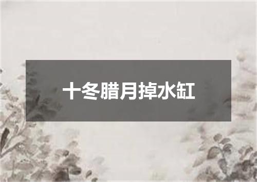 十冬腊月掉水缸