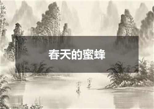 春天的蜜蜂