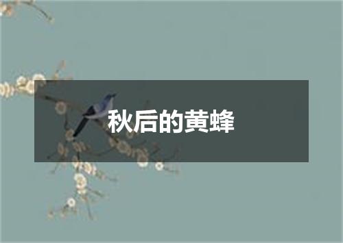 秋后的黄蜂