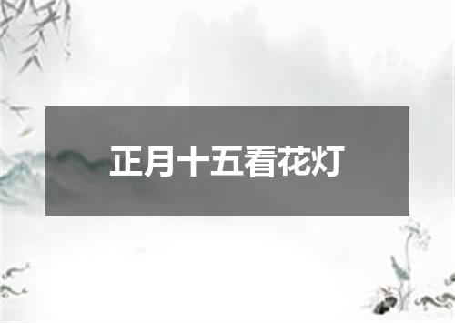 正月十五看花灯
