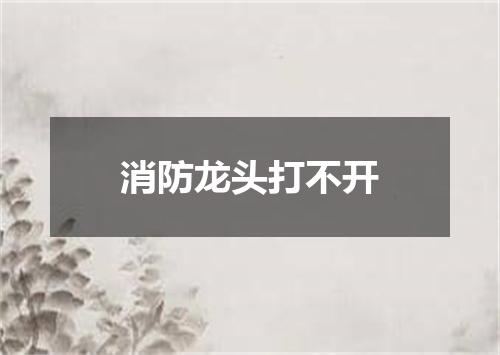 消防龙头打不开