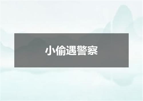 小偷遇警察
