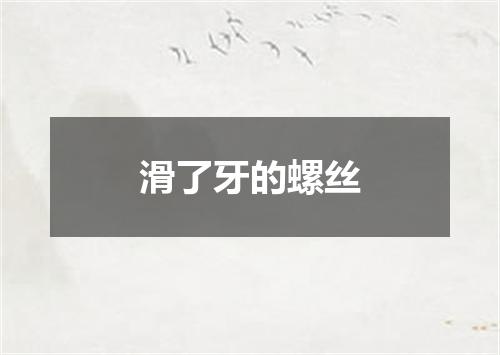 滑了牙的螺丝