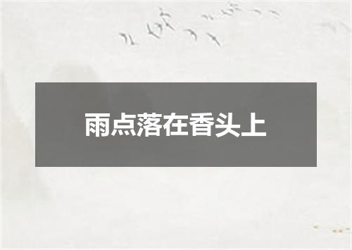 雨点落在香头上