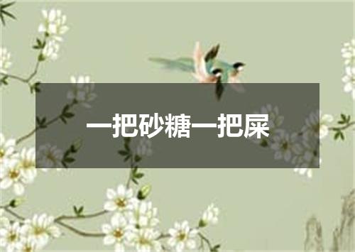 一把砂糖一把屎