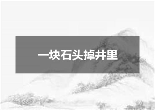 一块石头掉井里
