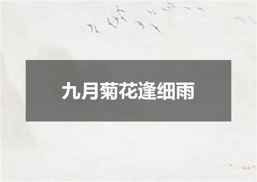 九月菊花逢细雨
