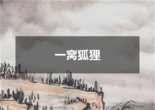 一窝狐狸