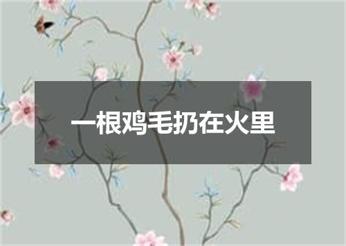一根鸡毛扔在火里