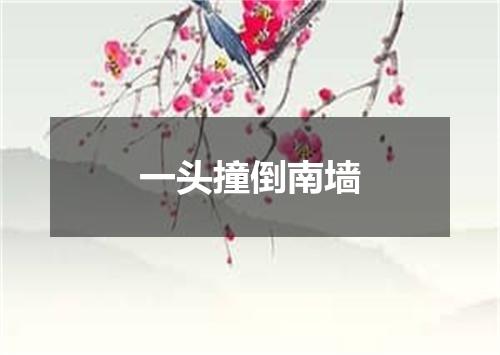 一头撞倒南墙