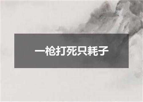一枪打死只耗子