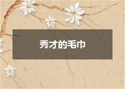 秀才的毛巾