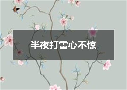 半夜打雷心不惊
