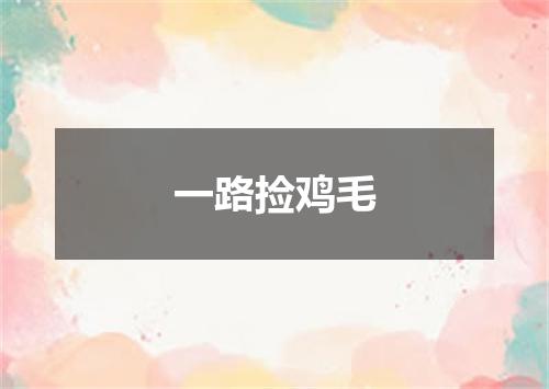 一路捡鸡毛
