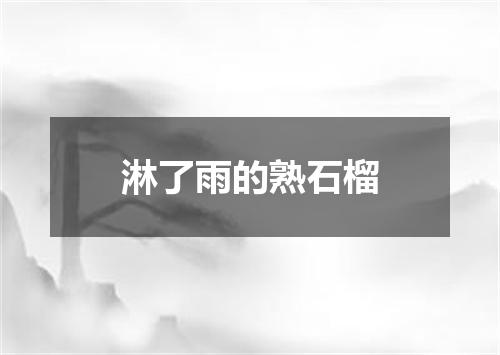 淋了雨的熟石榴