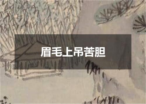 眉毛上吊苦胆